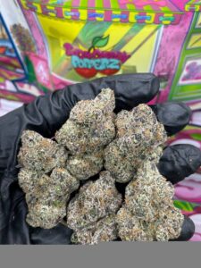 Sweetz Exotics
